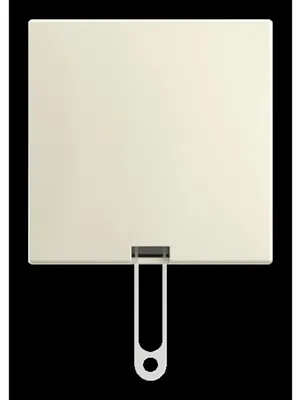 Immagine prodotto di BUSCH JAEGER Zugschalter AP 2610/6 J-522 (2TKA00005520)