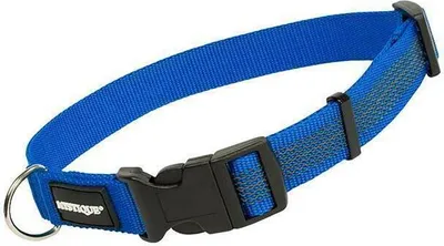 Produktbild von Mystique Gummiertes Halsband 40-50cm 25mm blau