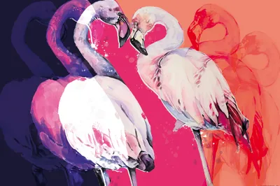 Produktbild von Flamingos Kunstdruck Bild - Flamingo Love (120 x 180 cm)