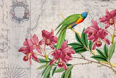 Produktbild von Tadessi Fototapete | Vögel | 4.00 m x 2.70 m | Grün | Rosa | Wandbild | Digitaldruck
