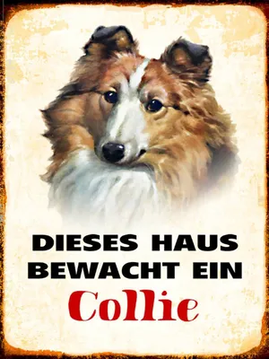 Produktbild von vianmo Holzschild 40x30 cm Hund dieses Haus bewacht ein Collie