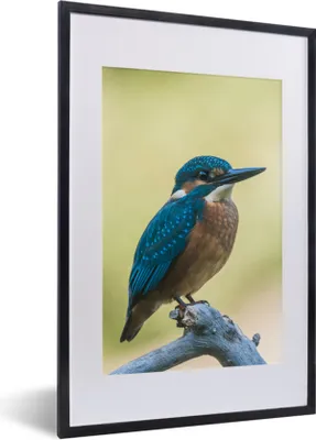 Produktbild von MuchoWow® Gerahmtes Poster Eisvogel - Zweig - Vogel 40x60 cm - Poster mit Schwarzem Bilderrahmen Wandposter Rahmen Foto Bilder - Poster in Rahmen