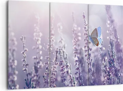 Produktbild von Bild auf Leinwand - Leinwandbild - Schmetterling Wiese Blume - 105x70cm - Wand Bild - Wanddeko - Leinwanddruck - Bilder - Kunstdruck - Wanddekoration - Leinwand bilder - Wandkunst - CE105x70-4014