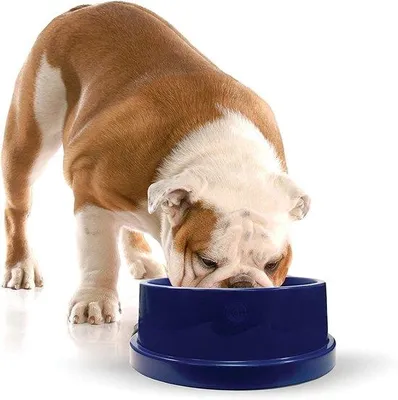 Produktbild von Hunde- und Katzen-Trinkwasserbehälter, kühlt, 2,7 Liter