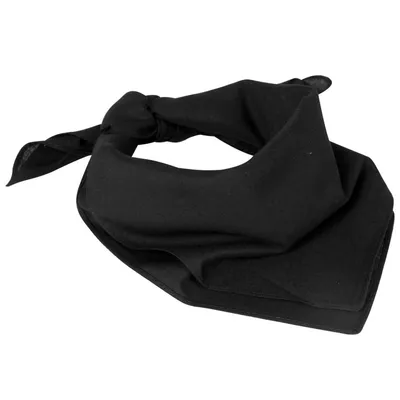 Image de Foulard noir Paraellum 50087