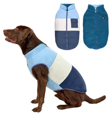Image de Manteau pour chien, hiver, imperméable, bleu, taille XL