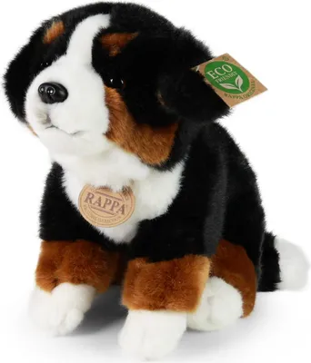 Produktbild von RAPPA Plüsch Berner Sennenhund sitzend 25 cm ECO-FRIENDLY