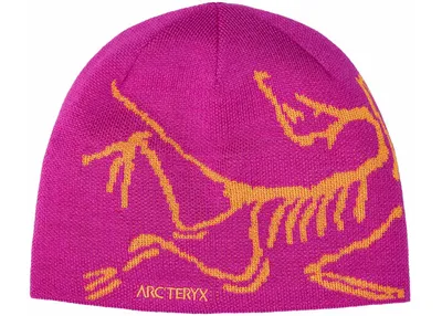 Produktbild von Arcteryx Arc'teryx Bird Head Toque Beanie (X000006756) - Amaranthus/Edziza