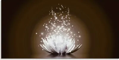 Produktbild von Vadim Georgiev: Magie der Lotus-Blume braun - Glasbild, Größe:30x60 cm / Glasbild