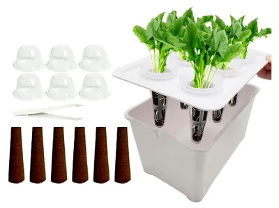 Produktbild von Anzuchtschalen für Sämlinge - Einstellbare Feuchtigkeitsabdeckung für die Pflanzenanzucht - Keimschalen und Anzuchttöpfe für Gemüse auf Balkon, im Garten und auf der Terrasse