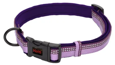 Produktbild von Halti Hundehalsband | Größe L, Lila