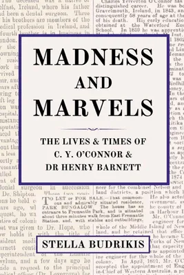 Produktbild von Madness and Marvels