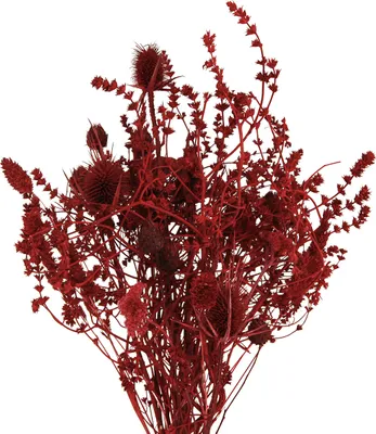 Produktbild von Eleganter Trockenblumenstrauß mit Disteln für romantische Dekoration