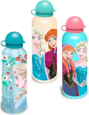 Zdjęcie produktu dla Frozen Disney The Frozen termos 500ml wielokolorowy wielokolorowy jeden rozmiar
