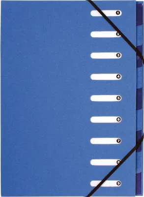 Produktbild von Exacompta 52982E, 240 mm, 320 mm, Blau