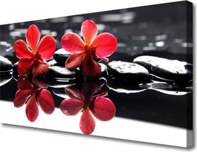 Produktbild von Tulup Leinwand-Bilder 100x50 Wandbild Canvas Kunstdruck Blumen Steine Pflanzen
