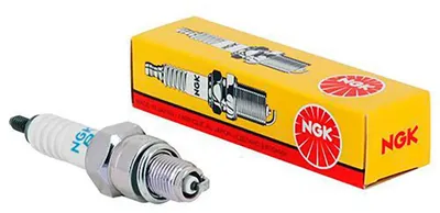Obrázek produktu pro Zapalovací svíčka NGK 6793