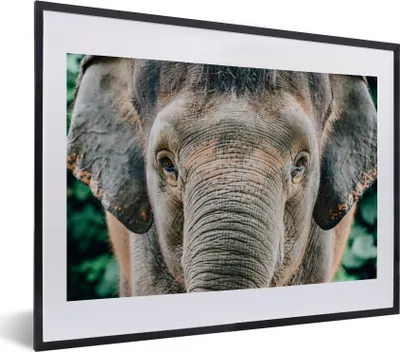 Produktbild von MuchoWow® MuchoWow® Gerahmtes Poster Nahaufnahme eines Elefanten 40x30 cm - Poster mit zchwarzem Bilderrahmen - Bilderrahmen - Poster im Rahmen