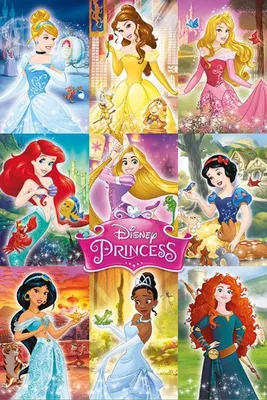Image de Les Princesses Disney - 61x91,5cm - Affiche Poster