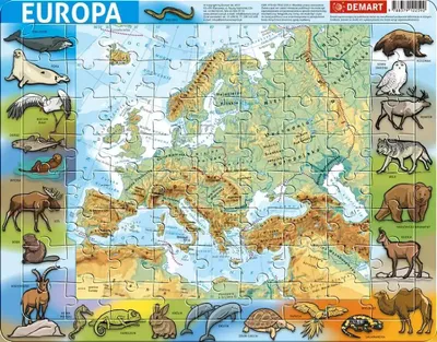 Image de Casse-tête à cadre - Physical Europe