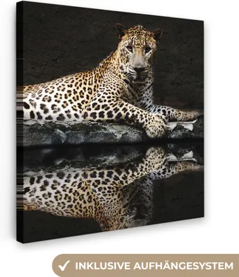 Obrázok produktu pre MuchoWow® - Plátno - Leopard - Voda - Les, nástenná maľba, nástenné dekorácie obrazy obývacia izba, 50x50cm