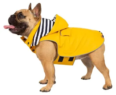 Produktbild von Trespaws Seadog Hundejacke, Sunshine, S