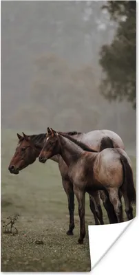 Produktbild von MuchoWow® Poster Pferde - Natur - Nebel 20x40 cm - Plakat - Foto