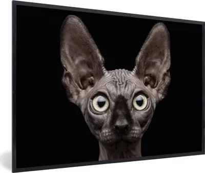 Produktbild von MuchoWow® Gerahmtes Poster Katze - Haustiere - Porträt - Schwarz 90x60 cm - Poster mit Schwarzem Bilderrahmen Wandposter Rahmen Foto Bilder - Fotorahmen - Foto-Plakat