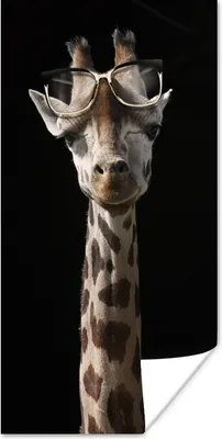 Produktbild von MuchoWow® Poster Giraffe - Brille - Schwarz 40x80 cm - Dekoration