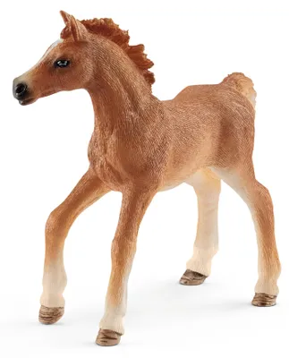 Obrázek produktu pro schleich HORSE CLUB 42361, 5 rok/roky, Vícebarevný, Plast