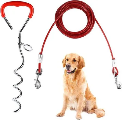 Immagine prodotto di Ancoraggio a spirale in acciaio da 6 m - Guinzaglio per cani - Cortile del Camping Park