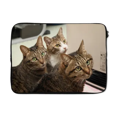 Produktbild von MuchoWow® Laptop Hülle 14 ZollKatze - Braun Laptoptasche - Laptoptasche - Stoßsicher - Schutzhaube