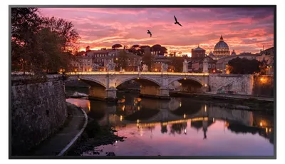 Produktbild von Samsung QB50R - 125 cm (50") Diagonalklasse QBR Series LED-Display - Digital Signage - 4K UHD (2160p)