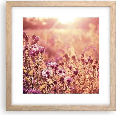 Produktbild von Gerahmtes Poster - Rahmen in heller Eiche - Wiese Blumen Sonne - 30x30 cm - Wand Bild - Wanddeko - Wandbilder - Kunstposter - Wandposter - Bilderrahmen - Bilder - Kunstdruck - P2NAC30x30-4819