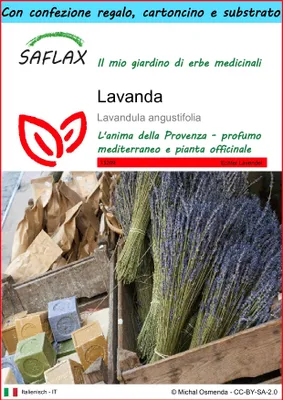 Immagine prodotto di SAFLAX Set regalo - Lavanda - 150 semi - Lavandula