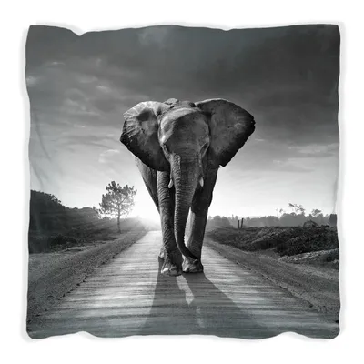 Produktbild von Wallario Premium Kissen, weiche Oberfläche, mit Motiv Elefant bei Sonnenaufgang in Afrika schwarzweiß, Größe: 40 x 40 cm, mit weißer Rückseite