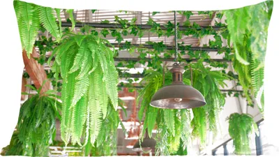 Produktbild von MuchoWow® Zierkissen Sofakissen Wohnzimmer Dekokissen 50x30 cm Lampen und Pflanzen - Wohnzimmerdekoration - Polster mit Photo