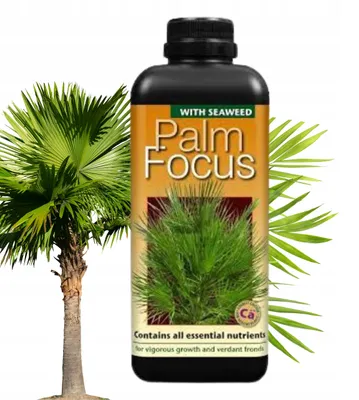 Obrázek produktu pro Growth Technology - Hnojivo na palmy 1000 ml - Palm Focus - Vysoce koncentrované - Tekuté hnojivo