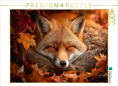 Produktbild von CALVENDO Puzzle Ein Motiv aus dem Kalender Flauschige Momente | 1000 Teile Lege-Größe 64x48cm Foto-Puzzle für glückliche Stunden