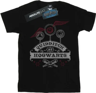 Produktbild von Harry Potter - "Quidditch At Hogwarts" T-Shirt für Herren BI29119 (L) (Schwarz)