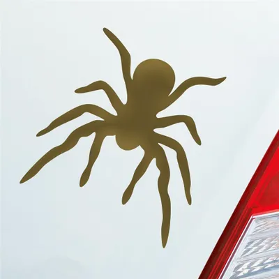Produktbild von Auto Aufkleber Spinne Spider giftig Tier Ekel 10x10,5 cm Gold Sticker Heckscheibenaufkleber