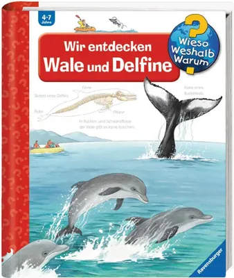 Produktbild von Wir entdecken Wale und Delfine
