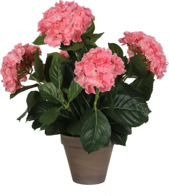 Produktbild von Mica Decorations Hortensien Kunstpflanze im Blumentopf Stan - H45 x Ø45 cm - Rosa