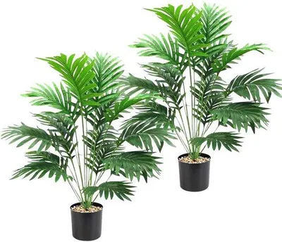 Image de Palmiers artificiels, lot de 2, grands, en plastique