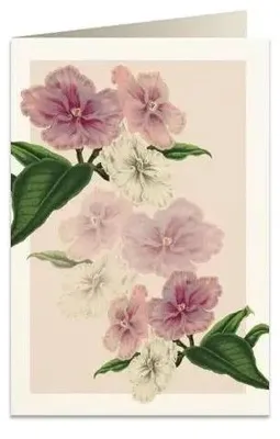 Produktbild von Karte B6 + Umschlag 5969 Brunfelsia – Tassotti