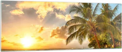 Produktbild von Bilder auf glas - Strand Meer Palme - 140x50cm - Glasbilder - Wandbilder - Kunstdruck - zum Aufhängen bereit - Wanddekoration aus Glas - Glas Bilder - Wandbild auf Glas - Einteilig - GAB140x50-3606