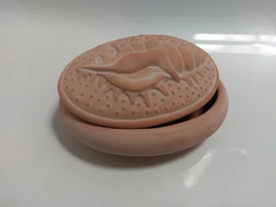 Produktbild von Terracotta - Muscheldose
