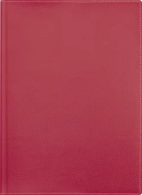 Produktbild von BRUNNEN Buchkalender Mod. 796 2027 | A5, Kunstleder, rot