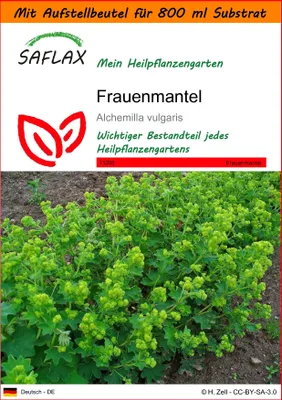 Produktbild von SAFLAX - Garden in the Bag - Heilpflanzen - Frauenmantel - 100 Samen - Mit Anzuchtsubstrat im praktischen, selbst aufstellenden Beutel - Alchemilla vulgaris