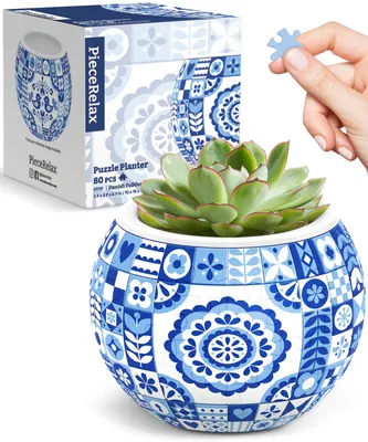Productafbeelding van 3D Puzzel Bloempot voor Succulenten